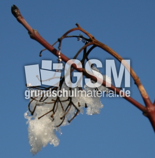 Winterimpressionen 058.jpg